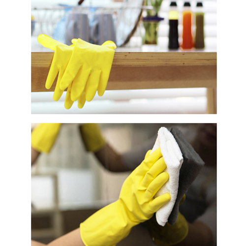 ���ο� ������ �����尩